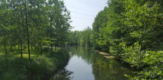 Fiumi Veneto, Legambiente: “Preoccupano Bacchiglione e Retrone” Argine Bacchiglione a Vicenza (foto di archivio)