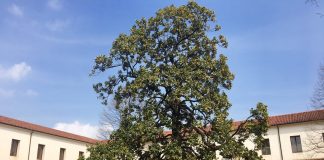 Terzo appuntamento della rassegna “Il Sentiero della Fede – Conversazioni e Musica”