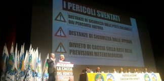 Rucco in bilico, Davide Bendinelli (Forza Italia Veneto): “scippo e pesca a strascico di Berlato e Dotto querela” Berlato sul palco dei cacciatori