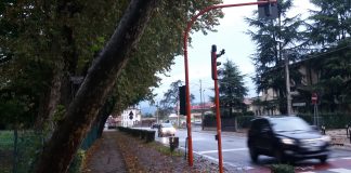Rischio caduta alberi lungo il Bacchiglione e gli impianti sportivi, Rolando: “urgente manutenzione”