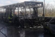 L’autista non è mestiere per donna? A Vicenza sugli autobus pubblici 394 autisti uomini e solo 10 donne autobus incendiato a Milano