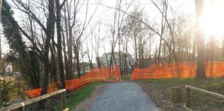 Studenti di Vicenza per “FridaysforFuture” al Parco Astichello: la risposta a Celebron lavori parco Astichello