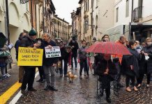 La battaglia su Corso Fogazzaro finisce sul CorSera: Gian Antonio Stella sbeffeggia Matteo Celebron Una delle proteste contro le auto in Corso Fogazzaro