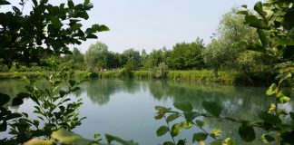 Sarego, pulizia dei corsi d’acqua: scatta l’obbligo ai privati fiume