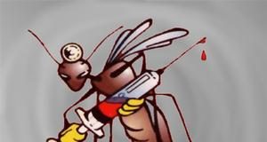 Distribuzione gratuita kit antilarvale contro le zanzare