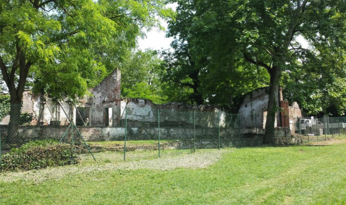 Alberi Parco Querini