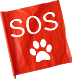 Tutela degli animali