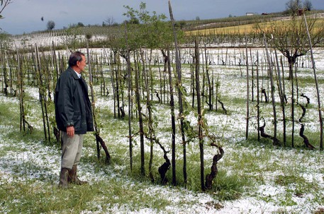 Grandinate su vigneti e coltivazioni in Veneto