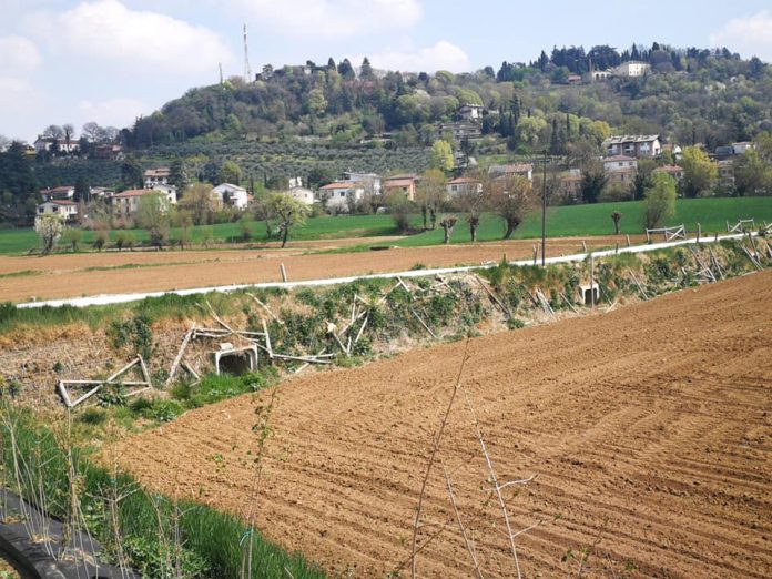 Staccionata divelta nel Parco Retrone 4