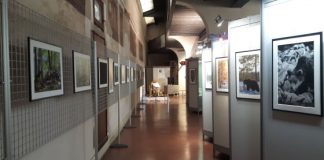 Maggio dei libri, giovedì 9 maggio studenti in visita al Museo Naturalistico Archeologico