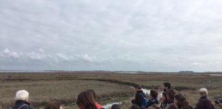 Un nuovo percorso per scoprire la bellezza dell’Isola del Lazzaretto Nuovo: inaugurato “Il sentiero delle barene”
