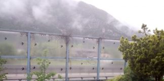 Uccelli morti sulle barriere Spv, la Struttura di Progetto spiega: “rispettati accordi con Lipu”