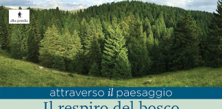 Attraverso il paesaggio: dialoghi tra scienza, arte e letteratura