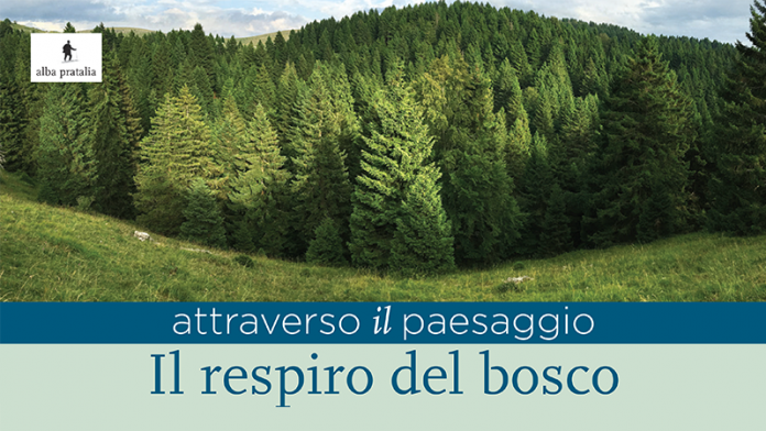 1E8E0582F563E624BE82F65A0AA98832