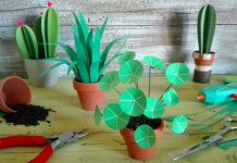 Mini piante di carta: un incontro creativo