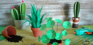 Mini piante di carta: un incontro creativo