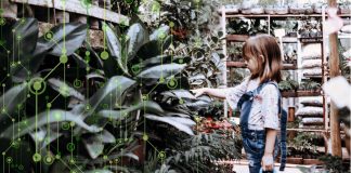 Digitalizzazione delle imprese nel Vicentino: i dati dell’Osservatorio Economico Confesercenti