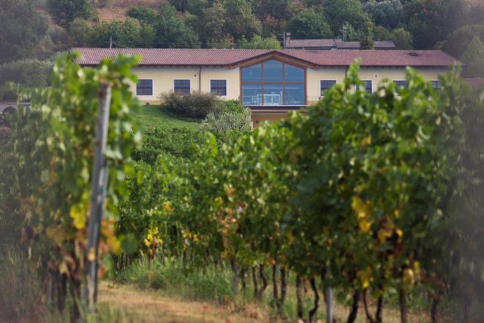 2019-05-23_5ce673bcd2138_Cantina-di-Caprino-3872x2581