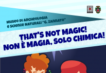 Museo Zannato di Montecchio Maggiore tra scienza e archeologia: due nuovi appuntamenti per i più giovani Chimica