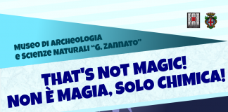 Museo Zannato di Montecchio Maggiore tra scienza e archeologia: due nuovi appuntamenti per i più giovani Chimica