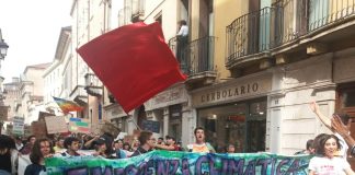 Studenti ecologisti, la “lezione” di Cicero per la rotatoria sporcata: “ipocriti e ripresi da telecamere, costituitevi” studenti vicenza