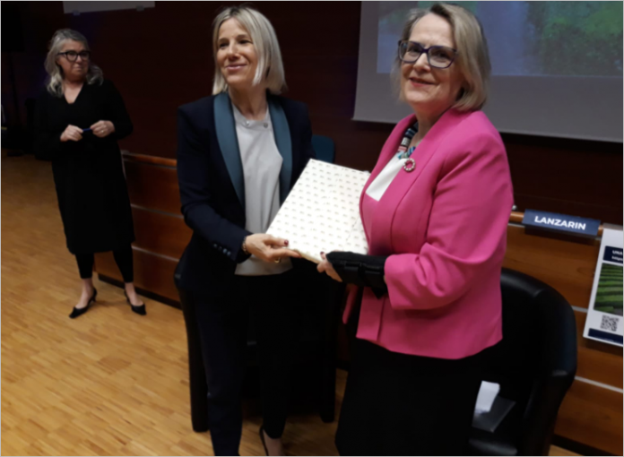 Demenze LANZARIN PREMIA HELEN ROCHFORD BRENNAN Demenze