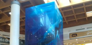 Colomba 30enne arrestato al Palladio: rubati 190 euro di vestiti