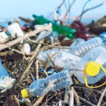 Plastica monouso: la mozione di Ciro Asproso e delle minoranze per bandirla a Vicenza Plastica monouso da bandire