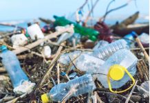 Plastica monouso, associazione Aduc: Il divieto è in vigore Plastica monouso da bandire