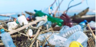 Plastica monouso, associazione Aduc: Il divieto è in vigore Plastica monouso da bandire