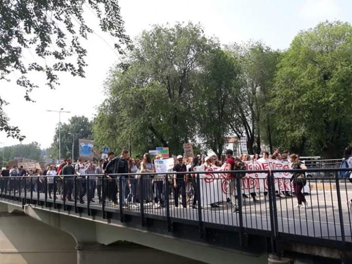 la protesta degli studenti per l'ambiente e il clima