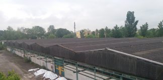 Barbara Guidolin (senatrice M5S): la lotta all’amianto in Veneto è un imperativo morale e politico Amianto in viale Trento (foto d'archivio)