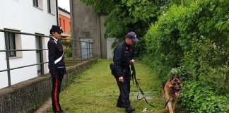 Studenti nei guai: marijuana da finestra della classe e avviso su WhatsApp dell’arrivo Carabinieri Carabinieri antidroga scuole