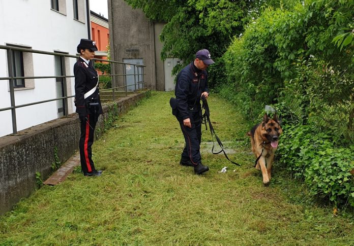 Carabinieri antidroga scuole