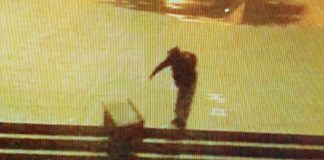 Danneggiamento notturno in corte dei Bissari, autore individuato grazie alle telecamere