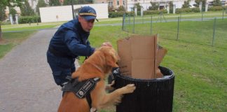 Il cane antidroga Buddy ancora in azione a Parco Fornaci con i complimenti dei cittadini