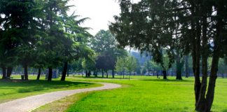 Servizi sociali, pubblicato il bando per il servizio di gestione del progetto Campo Marzo