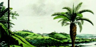 “Viaggi e scienza”, martedì 4 giugno presentazione del libro di Francesco Mezzalira