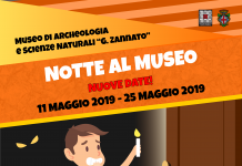Notte e centri estivi al Museo di Montecchio Maggiore notte al museo 11 e 25 maggio