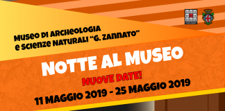 Notte e centri estivi al Museo di Montecchio Maggiore notte al museo 11 e 25 maggio