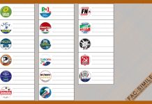 Europee, ecco la scheda elettorale per il NordEst: le novità (con vicentini) dal Partito Pirata a quello Animalista e della Famiglia Europee scheda