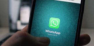 Informagiovani Vicenza, da qualche giorno è attivo un numero Whatsapp dedicato