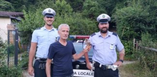 Polizia locale, salvato un giovane falco davanti al teatro Olimpico