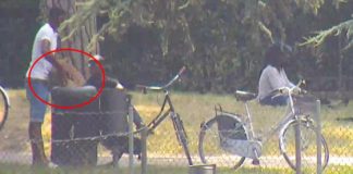 Polizia locale, recuperati 8 grammi di marijuana in viale dell’Ippodromo