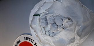 Droga self service a Montecchio Maggiore: la nuova tipologia di vendita scoperta dalla Polizia Locale dei Castelli ovuli