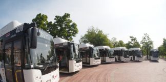 Un nuovo golfo di fermata per i bus contro gli incolonnamenti in via Bivio San Vitale a Montecchio Maggiore svt