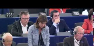 Andrea Camilleri ricordato al Parlamento Ue, nel primo discorso di Alessandra Moretti Moretti Ue