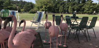 Domenica 14 luglio Summer Market a Campo Marzo