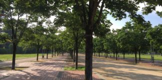 A Campo Marzo settembre con il Luna park e con ViOff