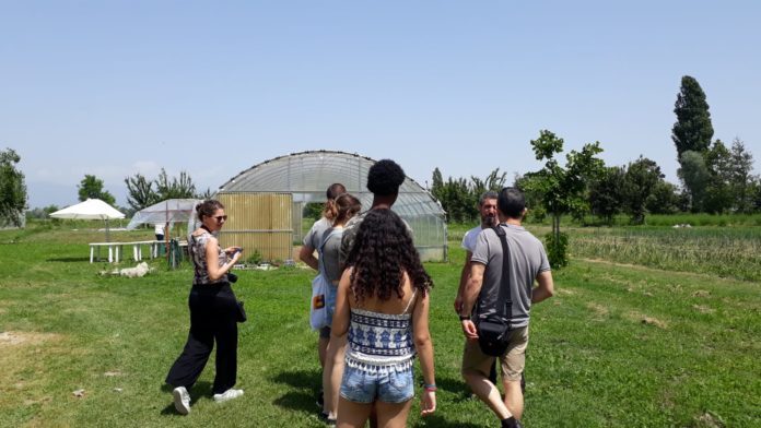 2019-07-04_5d1e28dc9d0b6_FotoTesto2-696x392